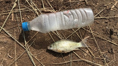 目前看来特别关注客友鱼竿怎么样,这个是哪里的牌子的?杂牌吗