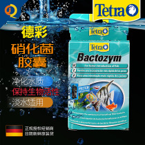 De Polychrome Nitrobacteria Capsule Germany Import Tetra Nitration Live Bacteria Fast Open Tank Fish Tank Water Purification of Ammonia Nitrogen