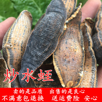 Leech leech leech dry with 50 gr fried water to insect-made horse real roasted leech natural no sulphur to sell another centipede scorpion