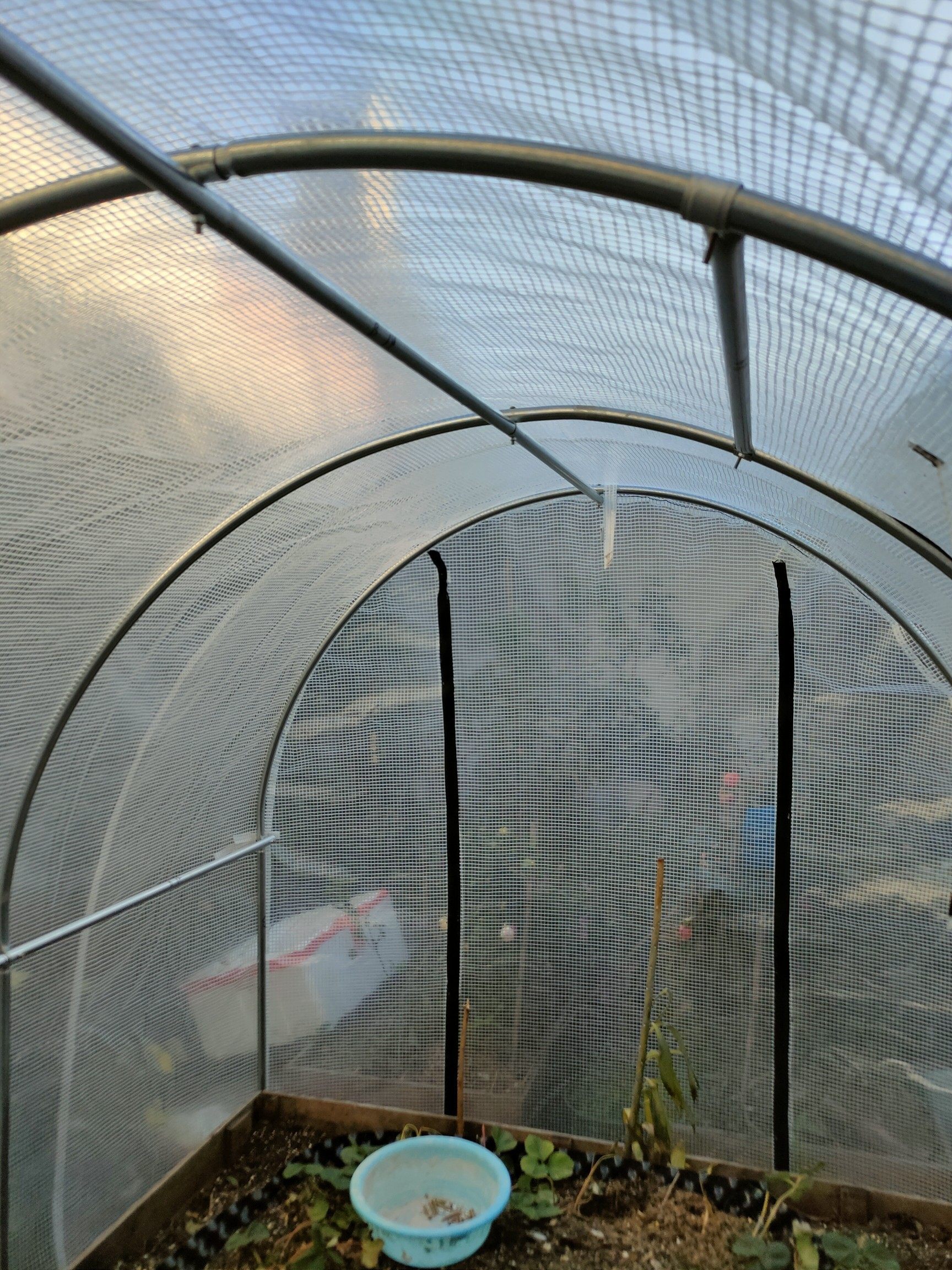 家用温室花房阳台冬天养花菜棚简易植物蔬菜种冬季花卉庭院保温棚