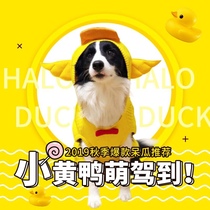 Cute little yellow duck dog sweater Medium and large dog Large dog autumn and winter sweater pet transformation outfit spot