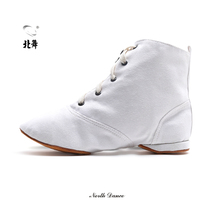 North dance adult white indoor ballet shoes outsole thickened canvas teacher shoes jazz dance famous family dancing shoes men and women