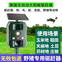 Solar ultrasonic outdoor drive wild boar artifact