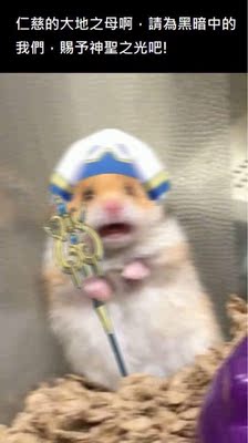 此用户没有填写评价。