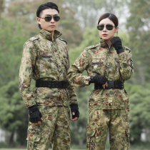 Spring and autumn camouflage suit suit mens special forces wear-resistant training military training uniforms female students labor insurance overalls