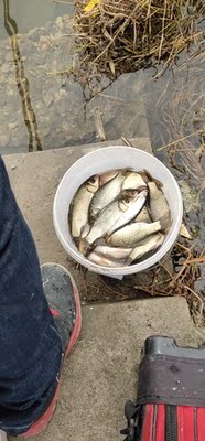 目前看来中逵大鲨鱼二代鱼竿怎么样，质量会不会很差？超轻吗？