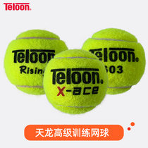 Tianlong Tennis Teloon Tianlong Rising 603 X-ace Student Initial Training Match Tennis Resistant