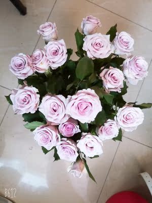 真的好凉快又很漂亮还非常舒服 真的好凉快又很漂亮还非常舒服