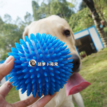 Pets vocalized toy ball Dog teeth grinding teeth biting ball gold wool Samoyer training toy pet supplies