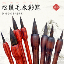 Malang squirrel hair watercolor pen Classical brush Professional art painting pen Animal hair watercolor pen MALEONN