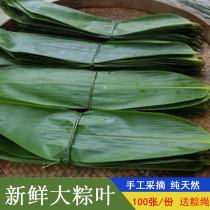 Farmhouse Fresh rice dumplings large glutinous rice dumplings net heavy 300g send rice dumplings 100 sheets of rice dumplings Zongzis leaves