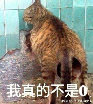 很好看很喜欢..哺乳期ing.163高120斤穿得下但紧.等我减减肥.