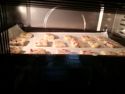 点评大伙说下美国西屋3001C蒸烤箱怎么样,烤东西好吃吗