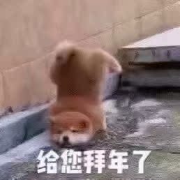 衣服穿起来很舒服也很方便，稍微有一丢丢大，不影响穿搭，给客服一个赞赞