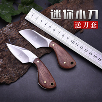 Mini knife multi-function portable saber defense field survival equipment outdoor non-folding edc tool knife
