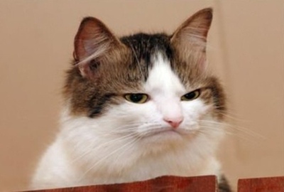 挺好滴,还没用,送了一个可爱的炸鸡块君的袋子,非常喜欢啦,用后在追评^_^ 以下凑字数挺好滴,还没用,送了一个可爱的炸鸡块君的袋子,非常喜欢啦,用后在追评^_^挺好滴,还没用,送了一个可爱的炸鸡块君的袋子,非常喜欢啦,用后在追评^_^挺好滴,还没用,送了一个可爱的炸鸡块君的袋子,非常喜欢啦,用后在追评^_^挺好滴,还没用,送了一个可爱的炸鸡块君的袋子,非常喜欢啦,用后在追评^_^挺好滴,还没用,送了一个可爱的炸鸡块君的袋子,非常喜欢啦,用后在追评^_^挺好滴,还没用,送了一个可爱的炸鸡块君的袋子,非常喜欢啦,用后在追评^_^ 挺好滴,还没用,送了一个可爱的炸鸡块君的袋子,非常喜欢啦,用后在追评^_^ 以下凑字数挺好滴,还没用,送了一个可爱的炸鸡块君的袋子,非常喜欢啦,用后在追评^_^挺好滴,还没用,送了一个可爱的炸鸡块君的袋子,非常喜欢啦,用后在追评^_^挺好滴,还没用,送了一个可爱的炸鸡块君的袋子,非常喜欢啦,用后在追评^_^挺好滴,还没用,送了一个可爱的炸鸡块君的袋子,非常喜欢啦,用后在追评^_^挺好滴,还没用,送了一个可爱的炸鸡块君的袋子,非常喜欢啦,用后在追评^_^挺好滴,还没用,送了一个可爱的炸鸡块君的袋子,非常喜欢啦,用后在追评^_^