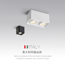 Surface mounted downlight Household living room aisle ceiling light Simple no main light Ceiling square led double-headed box light