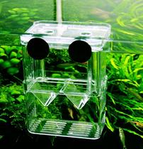 Isolation net small mesh breeding box guppies breeding special fish tank Fish Tank Isolation Tank Medium tank small fish fighting fish