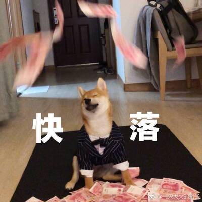 此用户没有填写评价。