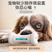 cheerble pet smart toy poodle kitty smother electric automatic crazy bounce ball jumping ball