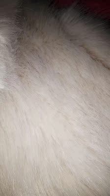 怎么说呢 买的时候比较犹豫,反正有运费险抱着试试的心态吧,结果是惊喜的!毛毛看起来不会显的假很自然,挺满意的。 怎么说呢 买的时候比较犹豫,反正有运费险抱着试试的心态吧,结果是惊喜的!毛毛看起来不会显的假很自然,挺满意的。