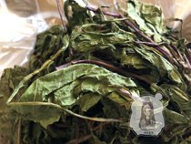 Ball ball sauce 2021 drying dandelion fire clearing diuretic Chinchilla rabbit Guinea pig small animals eating health supplement grass