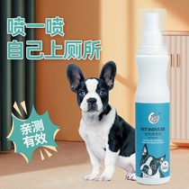 Dog-inducing agent bowels on the toilet anti-urine-urine pull-in-point defecation to guide the booby-training liquid deity