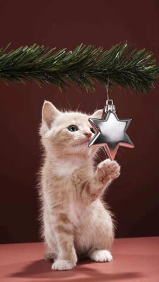 非常喜欢,非常好看的内衣,刚好合身 非常喜欢,非常好看的内衣,刚好合身