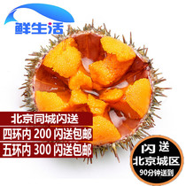2 two 1 Beijing flash to send live sea urchin horse dung bile Dalian seafood aquatic ready-to-eat sashimi spot