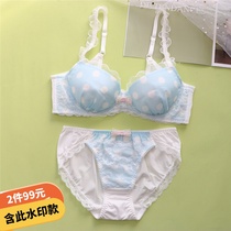 Spring and summer thin underwear set Lace sweet cute student sexy girl student bra BCDE cup