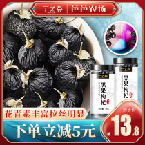Black wolfberry 250g Qinghai specialty non Ningxia black dog several dry goods non-grade wild wolfberry tea male kidney