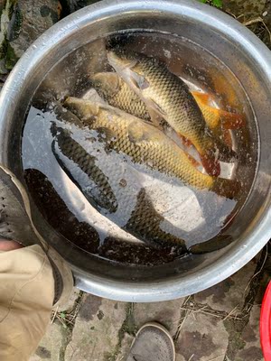 竿子轻,手感舒适,腰力十足, 竿子轻,手感舒适,腰力十足,