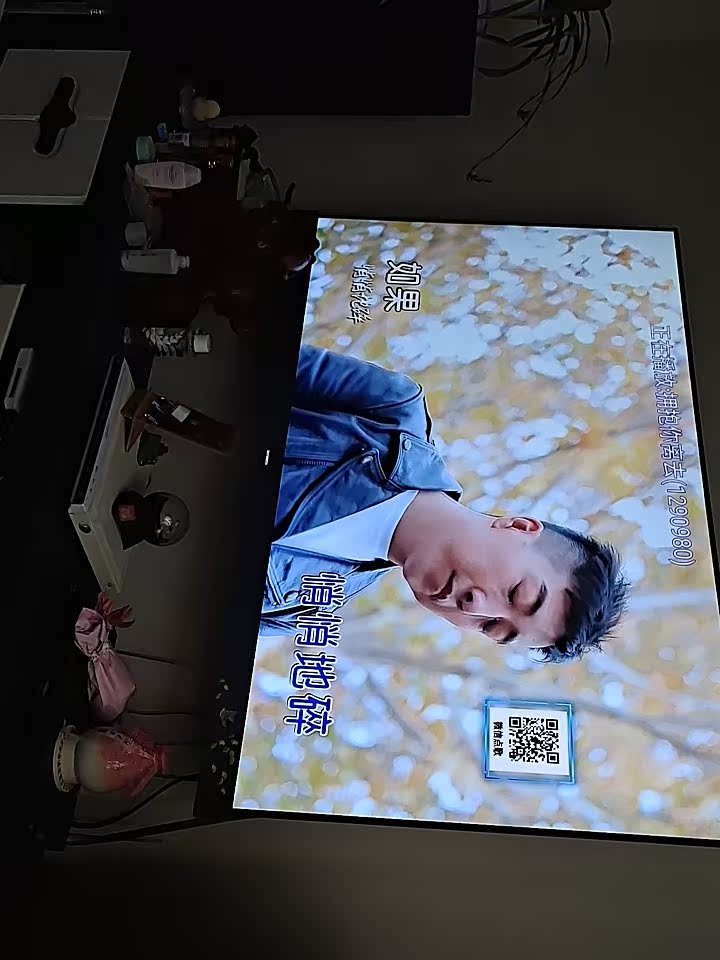 威钻 9880家庭ktv值得入手吗？