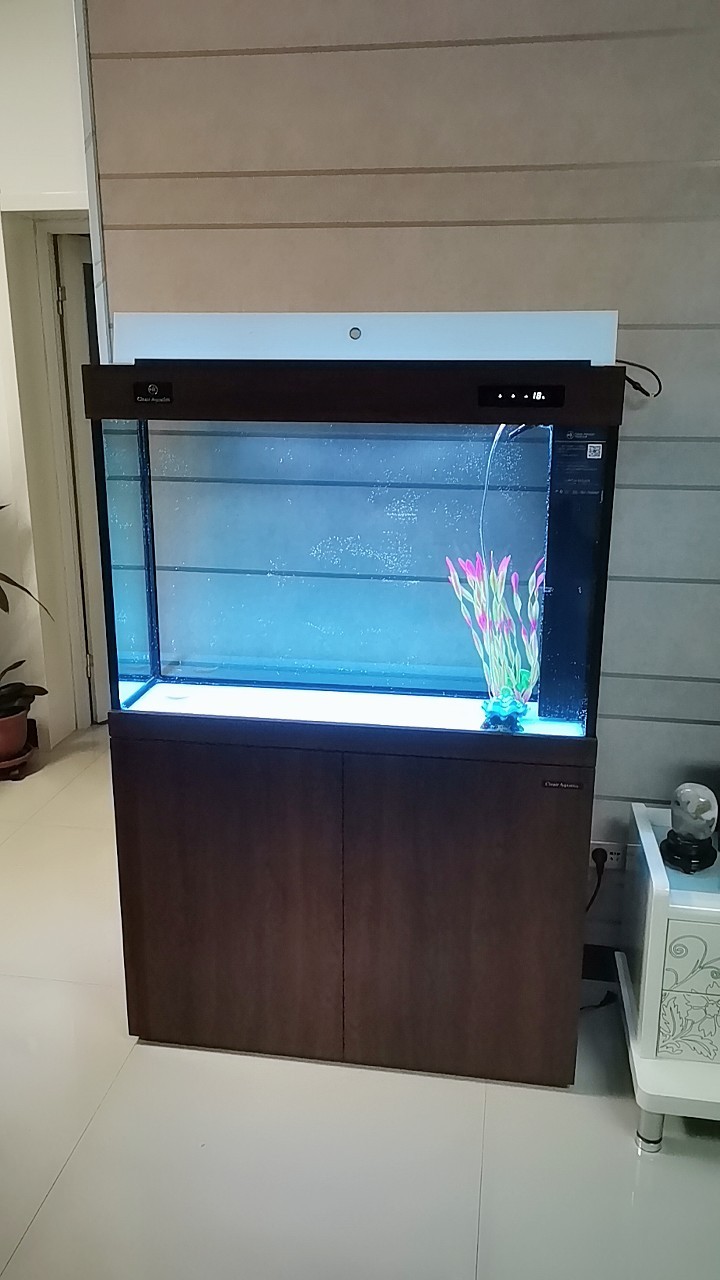 可丽爱鱼缸质量怎么样好不好吗?可丽爱水族箱算什么档次?