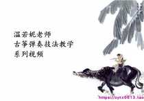 Wen Joni Guzheng Play Teaching Teaching Video Introduction to the beginners examination track difficulty handling explanation