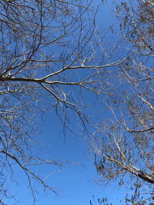 很好很好，但肩带有点短