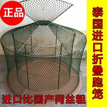 Cockfighting cockfighting training supplies running cage Thai cockfighting fighting chicken folding running cage cockfighting supplies