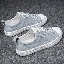 秋季新款帆布男鞋潮流百搭休闲板鞋老北京开车布鞋一脚蹬懒人潮鞋