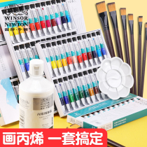 Windsor Newton Acrylic Paint Art Students Toolkit Waterproof Sunscreen 12 Colors 18 Colors 24 Colors Tubes Non-Fading Gypsum Doll Paint Painting Handmade DIY