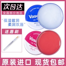 Vaseline Lip Balm Repair Frozen Fall Winter Anti-Cracking Lip Stripes Lip Mask Moisturizing Moisturizing Moisturizing Cream Men and Women