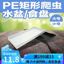 Reptile food basin tortoise box water basin climbing pet box food plate lizard horned frog palace guard radiation feeding box pet drinking plate