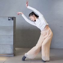 Dance Pants Golden Silk Snowspun Broadlegged Pants Modern Vintage Dance Pants Performance Suit Square Dance Pants Flutter