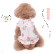 New products ~ Kawoi Idylent Fairy small strawberry doll-shirt Puppy hoodie boom-wear dress with more than a bear spring summer dress dog