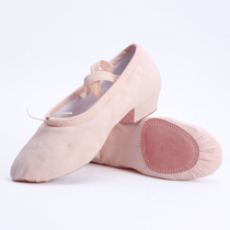 Female adult mid-heel dance shoes Canvas teacher shoes Pink soft-soled practice shoes Belly dance with heel dance shoes Ethnic dance