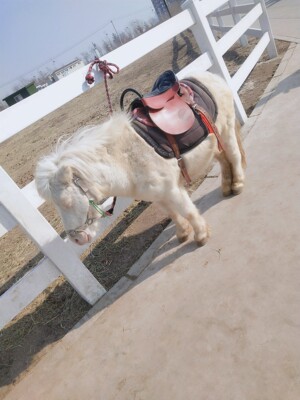 性感 很好看。很舒服