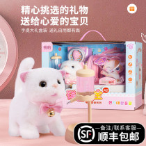 Girls toy 2022 New 5-1 9-year-old baby girl Girls Primary school birthday Six presents