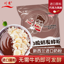 Sichuan Show Chocolate Sour Milk Powder Without Milk Homemade Probiotic Yoghurt Fermented Bacteria Fermented Powder Household Lactic Acid Bacteria