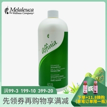4139 Meloists Love Sofia Shampoo Fine-Fun-filled - (Family dress) 946ml official website