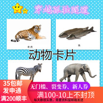 Autism autism ABA teaching practice cards Animal cards Childrens rehabilitation training teaching aids