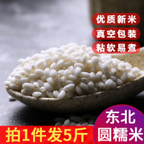 New glutinous rice 5 pounds Northeast round glutinous rice bulk fresh pure white glutinous rice Jiangmi wine stuffed dumplings whole grains